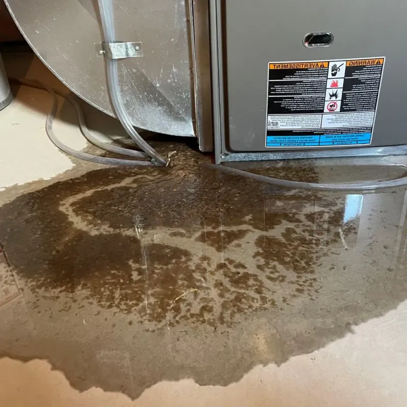 Pipe Burst and Leak Restoration in Brook Park, OH